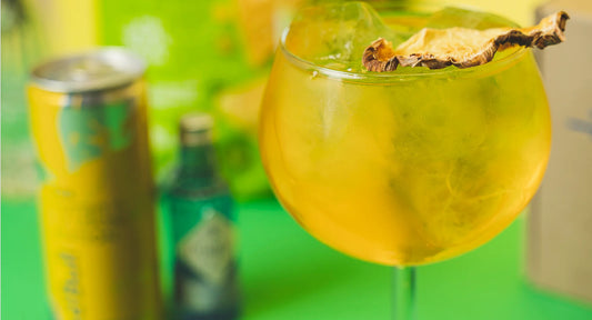 red bull tropical - tropical gin - gin chileno - small batch - cocteleria en chile - bares en tu casa
