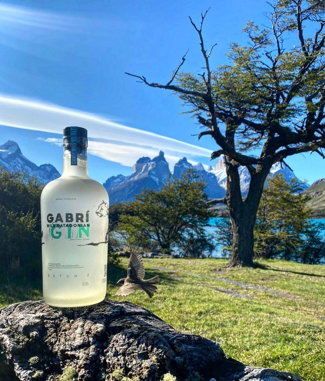Gin Gabri Wild Patagonian 750cc