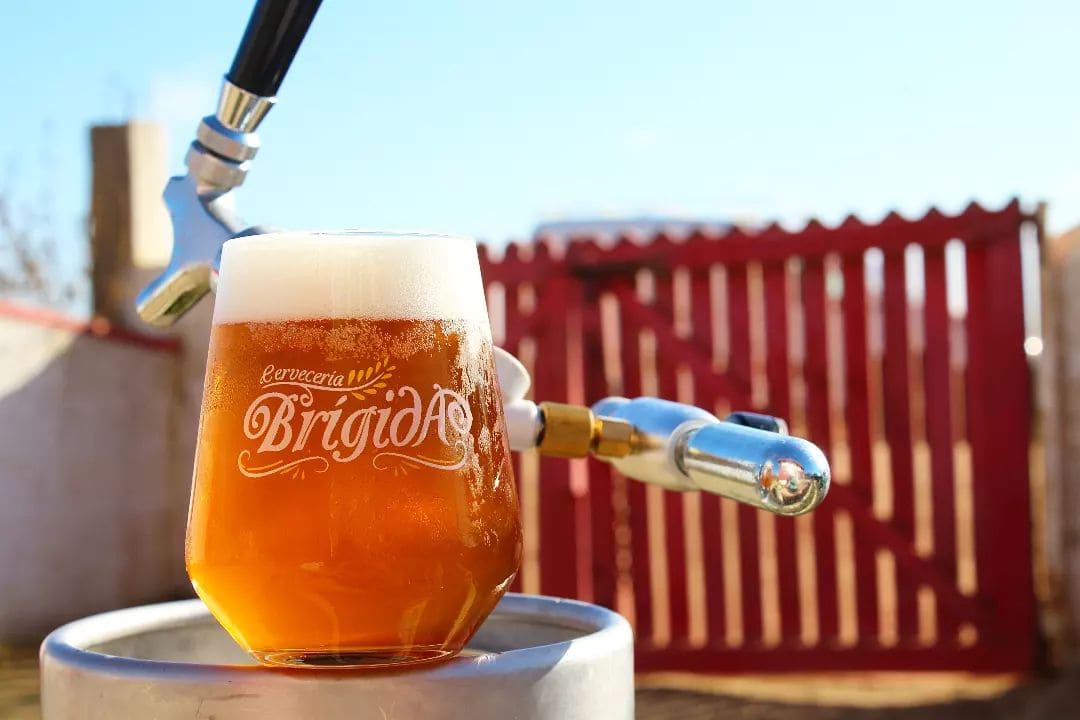 Cerveza artesanal - cervecería brigida - envios gratis