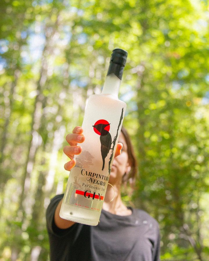 Gin carpintero negro - patagonic gin - portal voy - destilados