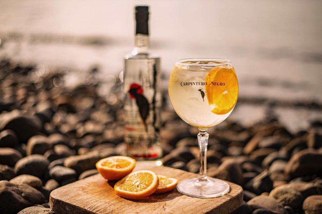 Gin carpintero negro - patagonic gin - portal voy - destilados