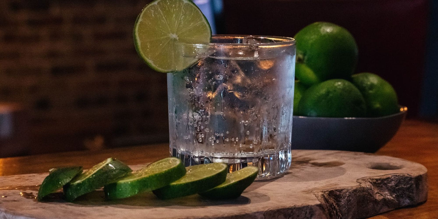 Recetas con gin - gin tonic - cocteleria - mixers - arma tu bar - tragos de autor - barman - barwoman