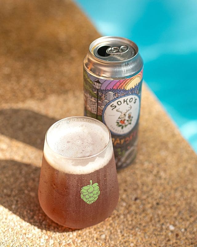 cerveceria craft - cerveza austral - day off - american pale ale - soko's - portal voy - tierra de cervezas