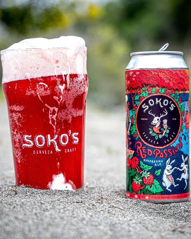 raspberry - frambuesas - ales - sokos - craftbeer - portal voy - envio gratis