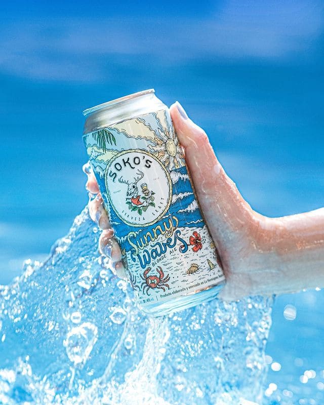 blonde ale - sokos - delirium tremens - portal voy - craft beer