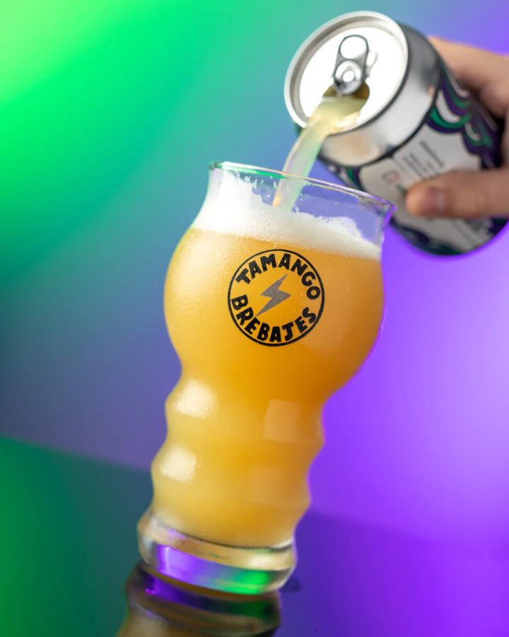 tamango - tienda online de cervezas - envios gratis - pack a todo chile - portal voy - ipa