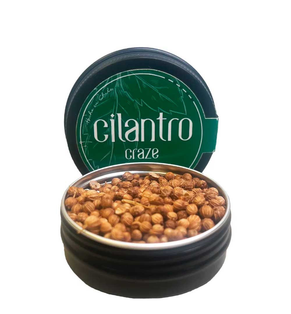 Botanico Craze Cilantro