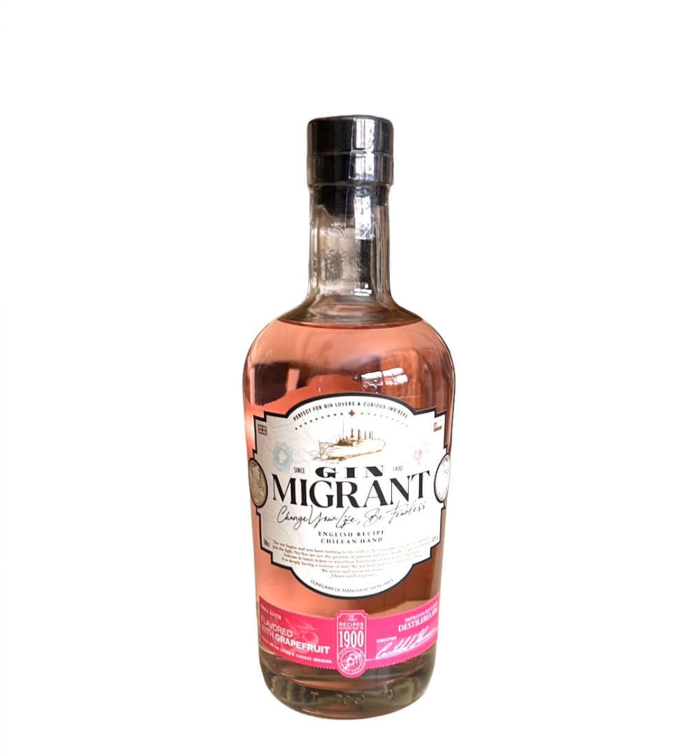 Gin chileno - portal voy - mixers - de autor - artesanal - small batch