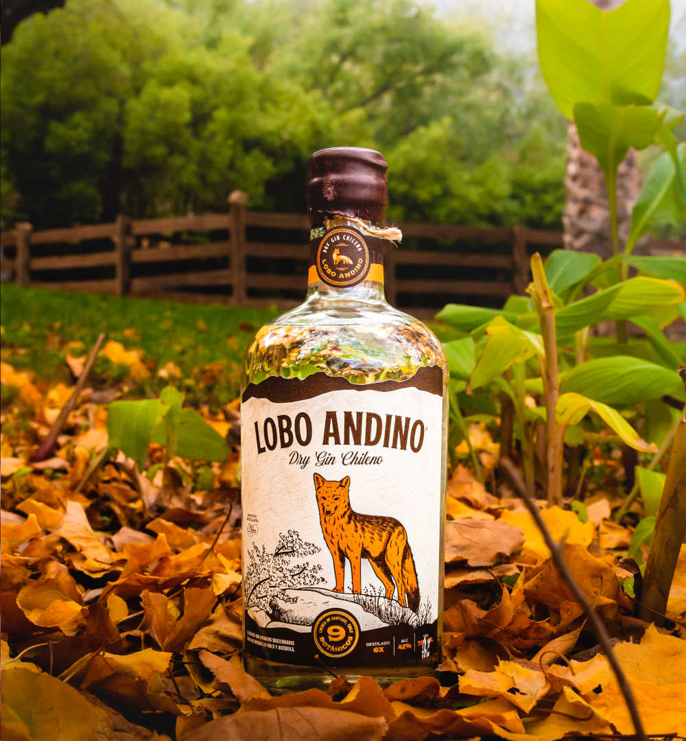 Gin chileno - london dry - portal voy - lobo andino - small batch - destilado