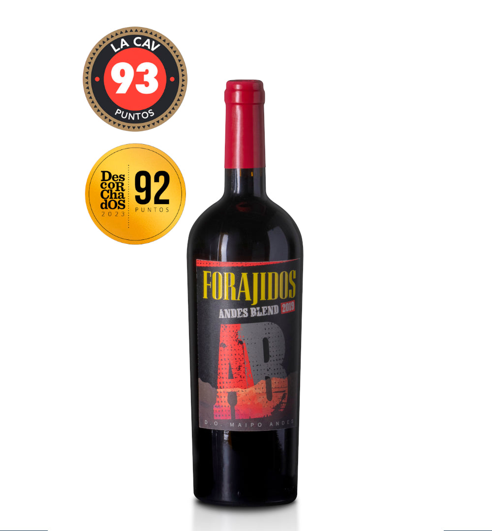 Vino premiado forajido andes blend