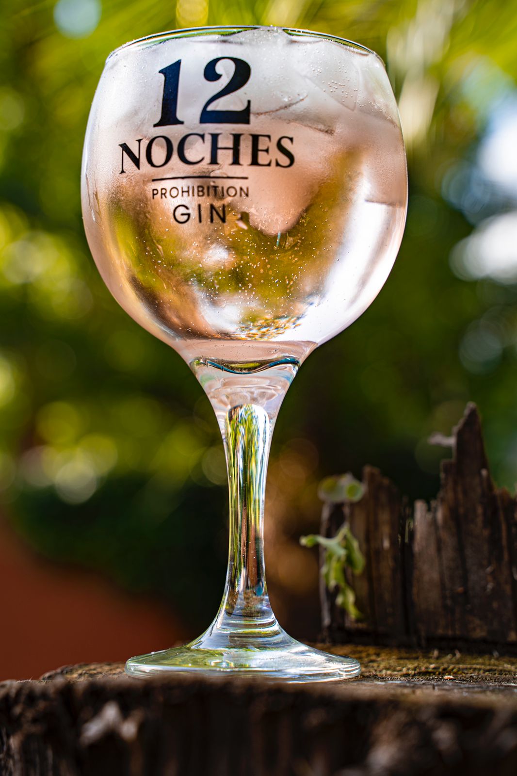 Envio a domicilio - gin chileno - espiritu premium