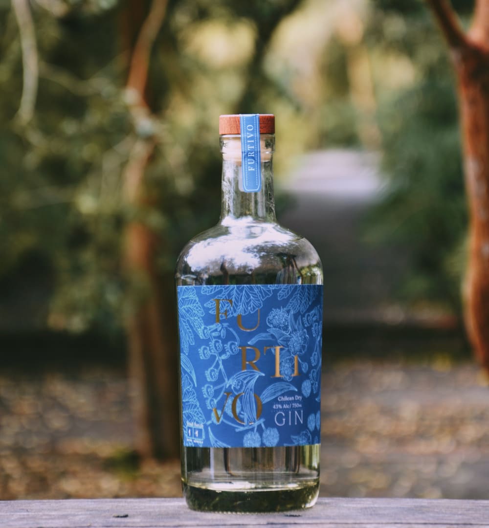 Gin Chileno - Gin Furtivo - Portal Voy - Bebidas de autor - Los mejores precios - Licores nacionales