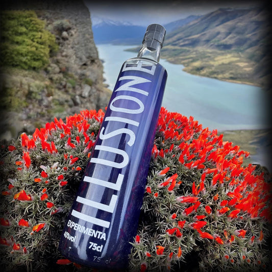 Destilados - licores nacionales - ilusion - experimiental