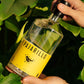 Gin pajarillo - gin nacional - agua tonica - gin tonic - silvanos - portal voy