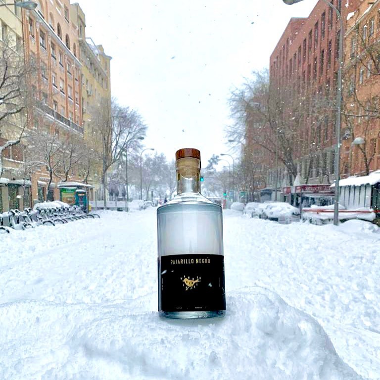 Descuentos en licores - ofertas en gin - promociones en gin