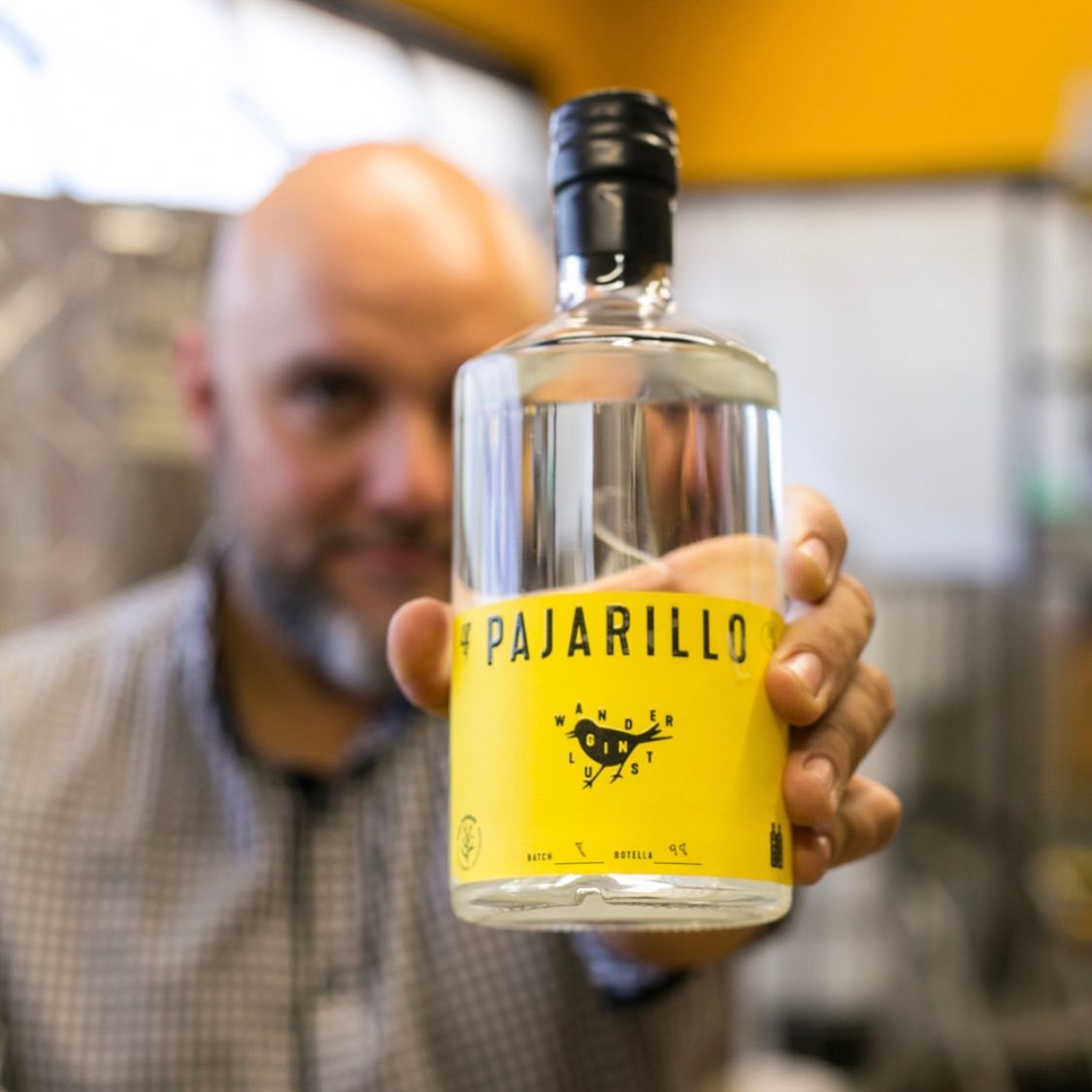 Gin pajarillo - gin chileno - bebidas de autor - zunda - factoria franklin