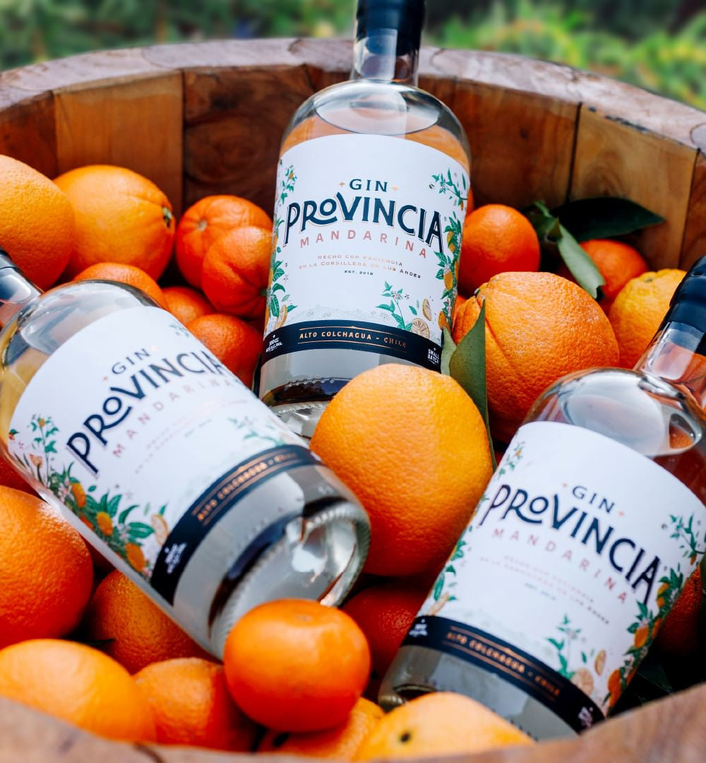 Provincia - Gin Mandarina - 700cc - Gin Chileno