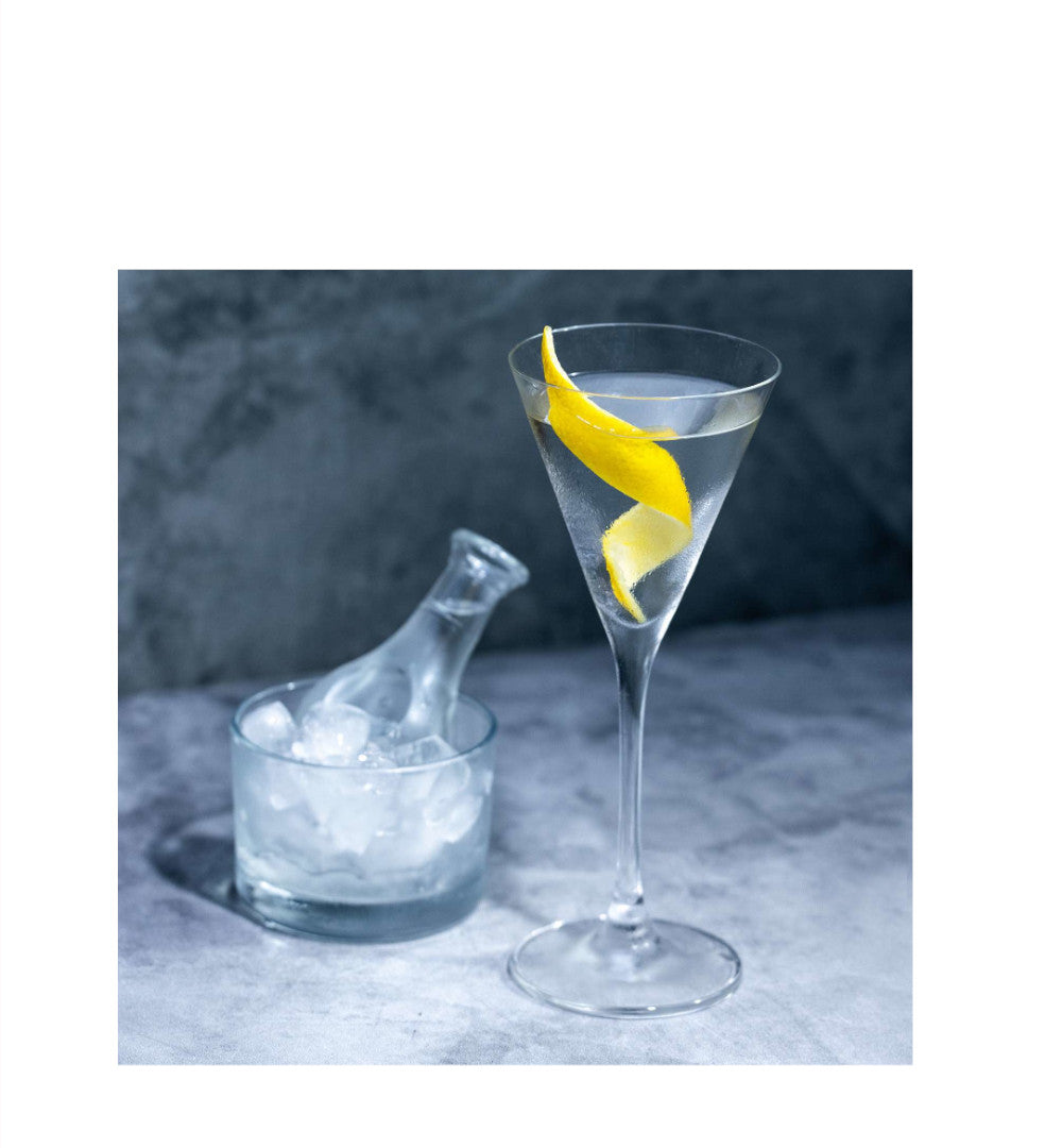 Recetas - martini dry - martini seco