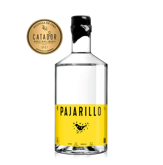 Pack Gin Pajarillo 700cc + 4x Ginger Bless 310ml - Pepino Jengibre