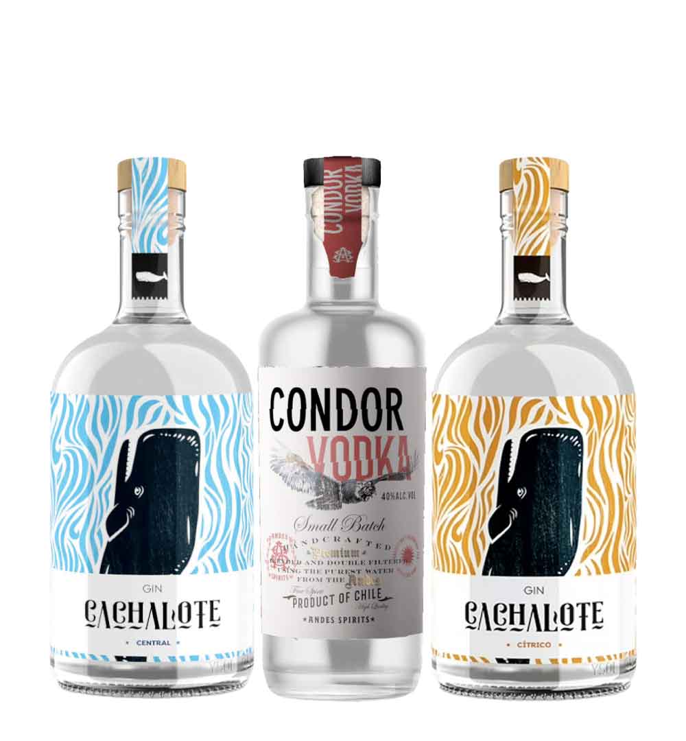 Pack Wildermann Vodka Condor + Gin Central y Cítrico