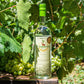 Pisco Coquena Reservado