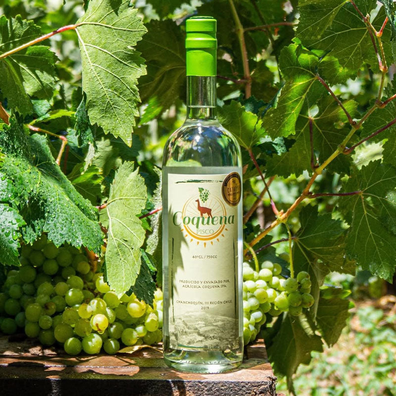Pisco Coquena Reservado