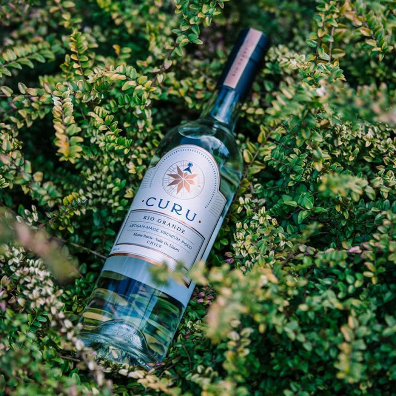 Pisco CURU