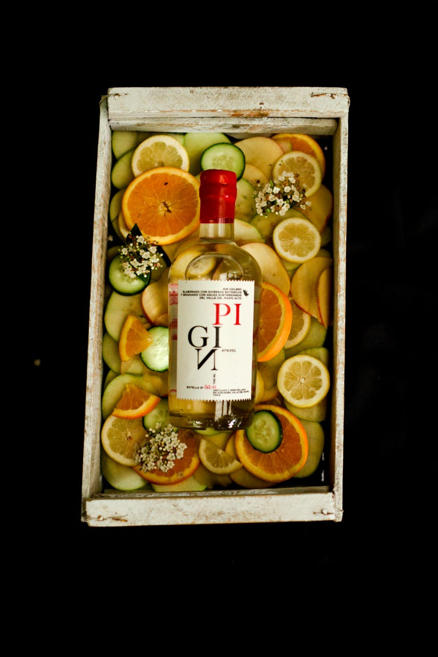 Gin Chileno - Pigin - destilado nacional - licores de autor