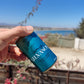 El mejor gin de chile - silvanos agua tonica - compra online