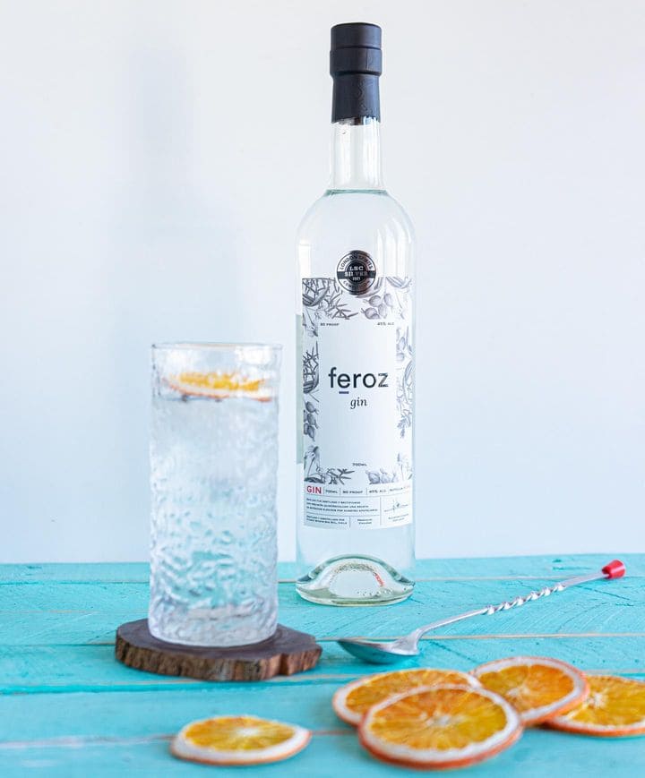 Gin Feroz - naranja deshidratada - gin tonic