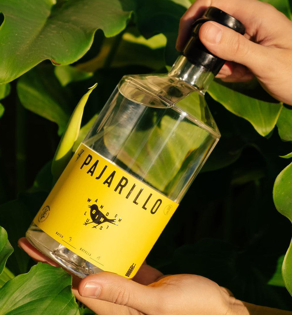 Gin Pajarillo amarillo - Gin Chileno