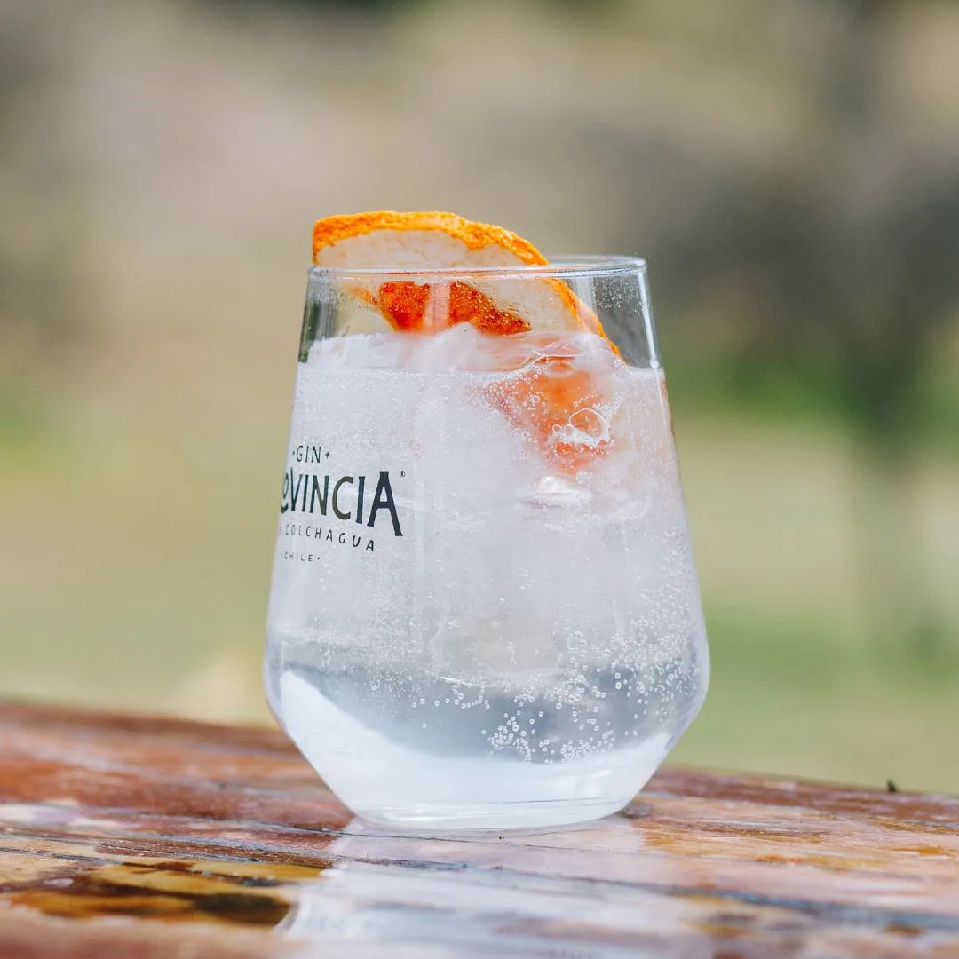 Gin tonic - gin provincia - destilados quintal - agua tonica con gin chileno