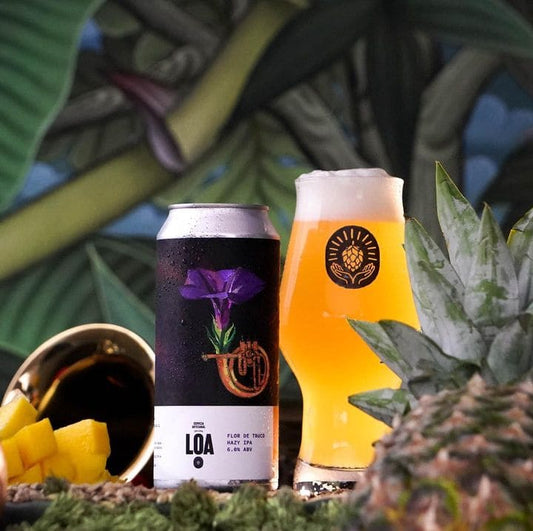 regalos cerveceros - pack de cervezas