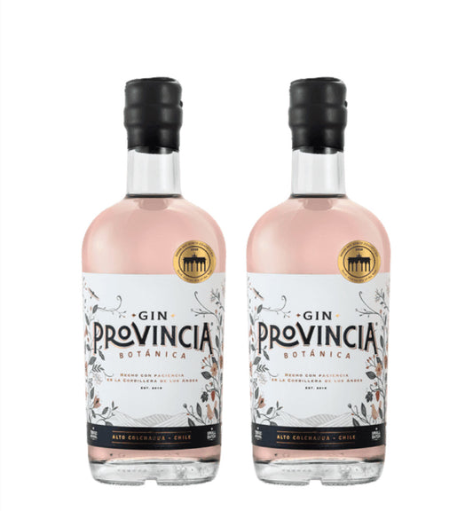 gin provincia botanica - pack oferta - gin chileno