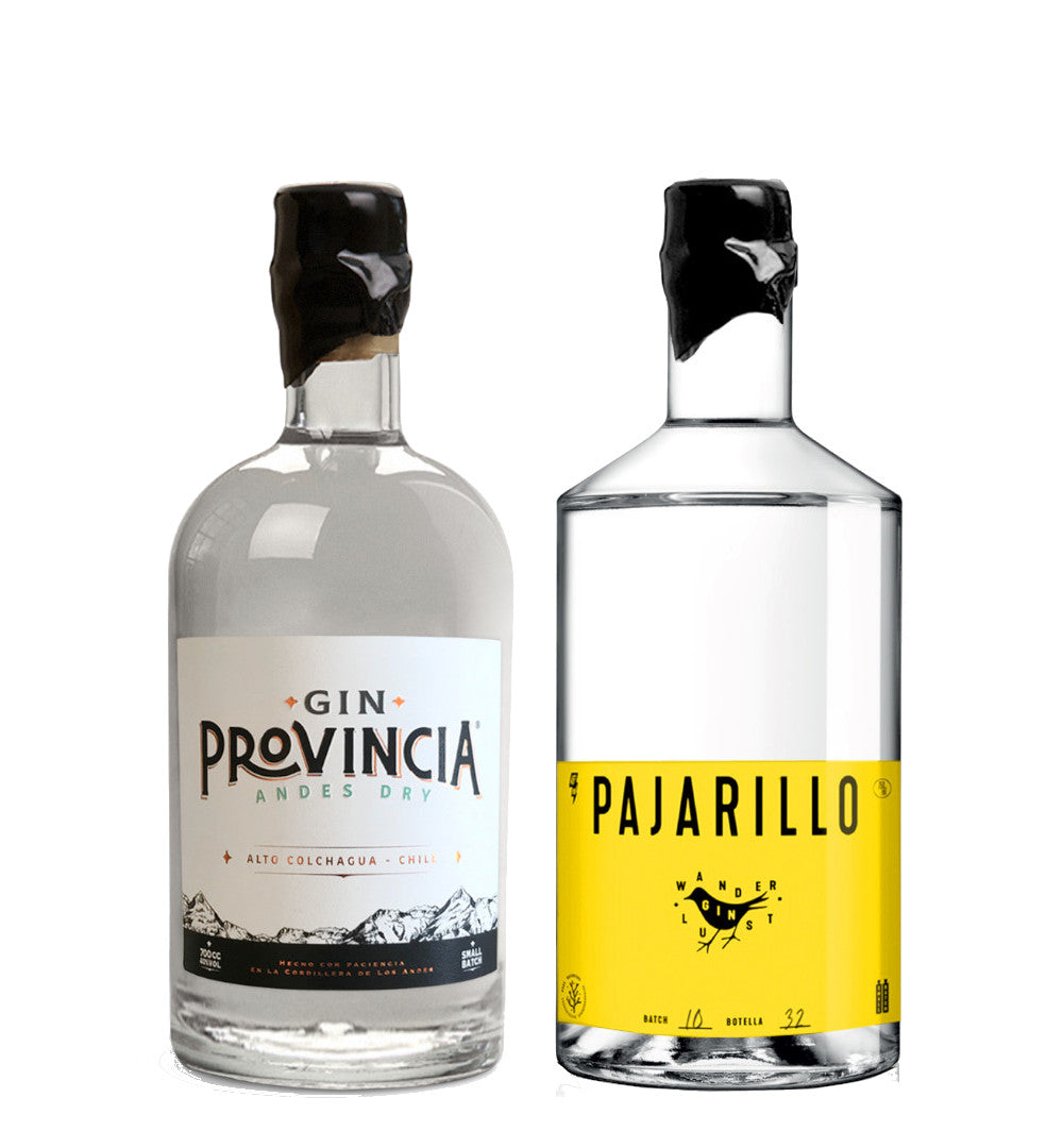 Gin Pajarillo amarillo Gin Provincia andes dry
