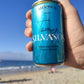 Gin chileno - agua tonica - silvanos - pigin - portal voy - gin tonic