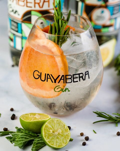 tamango brebajes - gin guayabera - portal voy